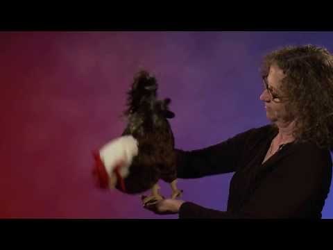 Folkmanis® Rooster Puppet Demo - Retired