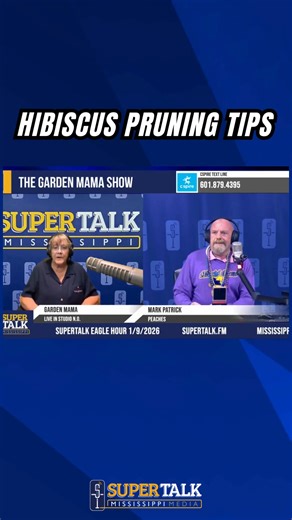 🌺 Pruning Hibiscus Made Simple! 🌺 Mark “Peaches” Patrick and The Garden Mama share expert tips on when and how to prune hibiscus for healthier plants and better blooms. | SuperTalk Mississippi