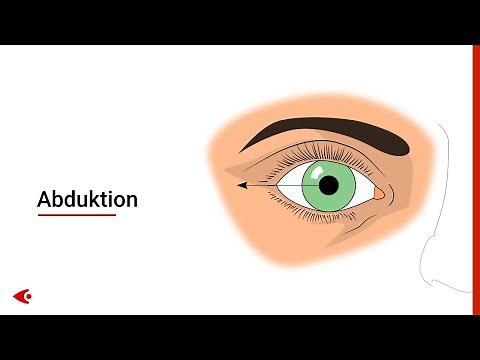 Okulomotorik (Augenbewegungen) | Terminologie