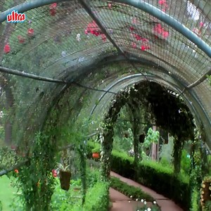 55K views · 419 reactions | Sanam Teri Kasam Full Movie HD | Saif Ali Khan Hindi Romantic Movie | Pooja Bhatt | Bollywood Movie | Ultra Film City | Facebook