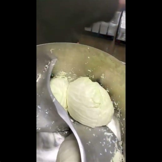 ⭐ Râpe à Choux Industrielle S40 | Ligne de Transformation du Chou #rapechoux #delmaengineering