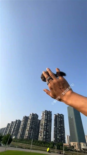 Different pets # Xiaofei Shu is here # The puzzling behaviors of cute pets