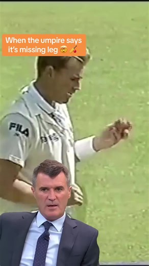 You ever had a plumb LBW given not out? #Meme #cricket #lbw #roykeane