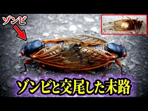 【ゆっくり解説】寄生されたら終わり…生物をゾンビ化させるヤバいウイルスに寄生された末路がヤバすぎる【寄生虫】【総集編】