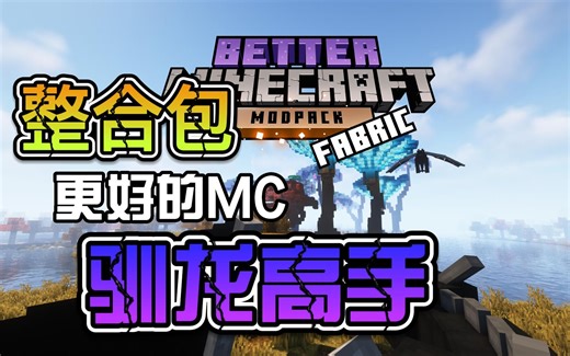 击杀最终BOSS虚空之影！孵化末影龙【更好的MC#20】
