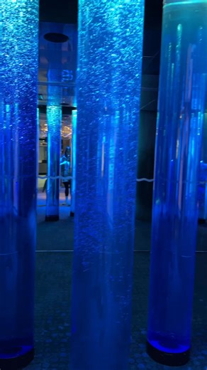 National Aquarium of Baltimore 謁 | Sherezade Kosonoy | Facebook