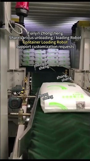 Container Loading Robot