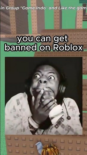 You Can Get Banned for This on Roblox…