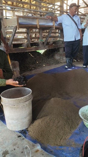 Understanding Integrated Farming Systems #shortvideo #shortsvideo #farming #viralreels #viralshorts