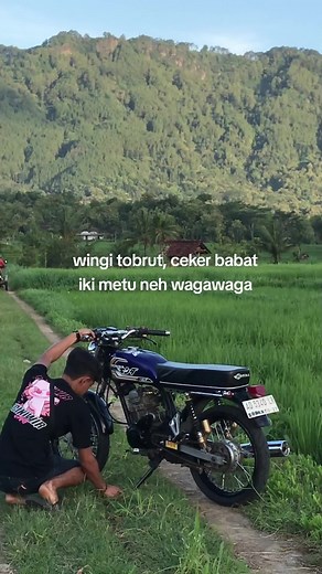 Understanding the Meaning of 'Waga Waga' in Trending Song