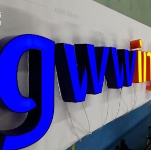 [Hot Item] Custom Made Face Lit Channel Letter with Trim Cap for Storefront