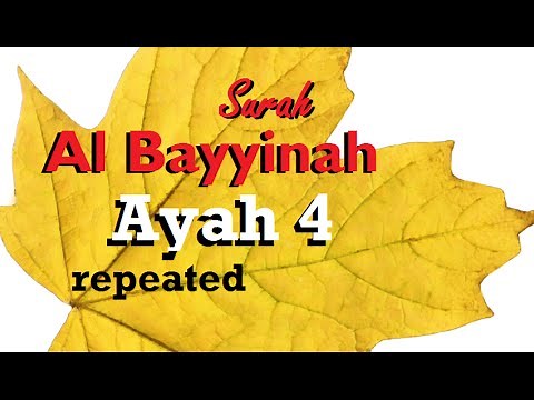 Surah Al Bayyinah (Ayah 4, repeated. Ayah 1-4, repeated)
