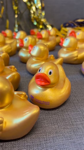 TN Tech Computer Science on Instagram: "Hackathon vibes – duck edition! 🐤💻 Our computer science debugging ducks are ready to spin the wheel and reveal all the details you need to register for the Portobello America Hackathon in partnership with Tennessee Tech’s Department of Computer Science and MInDS Center. 🟣 Oct. 16-17 🟡 Portobello America, Baxter 🟣 “Design the Future with AI” 🟡 Mentorship & prizes 🟣 Any major welcome Don’t just watch the ducks – join the fun! Space limited. Register b