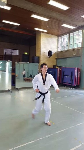 Dan gun (yellow belt 8 kup)