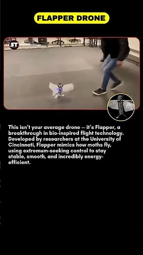 Meet Flapper — The Moth-Inspired Drone Changing How We Fly! #shortsfeed #technology #usatech #viral
