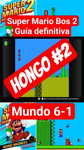 Super Mario Bros 2: The Definitive Guide #43 #gameplaynintendo #nintendo #retrogaming #supermario...