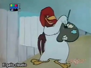 El gallo claudio divertido | Cortos de la tv