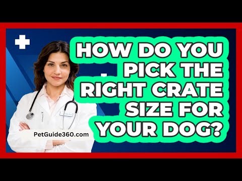 How Do You Pick The Right Crate Size For Your Dog? - PetGuide360.com