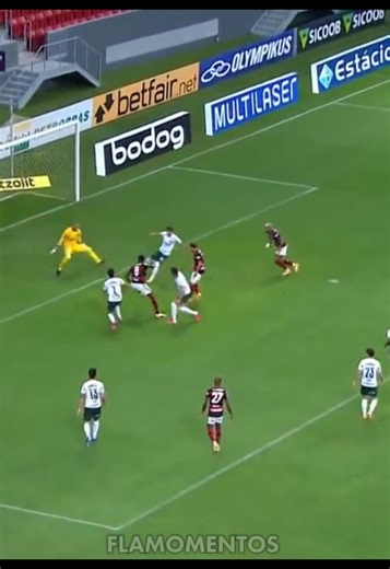 Flamengo x Palmeiras 2020: Melhores Momentos da Partida
