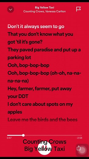 Counting Crows - Big Yellow Taxi: A Lyric Journey