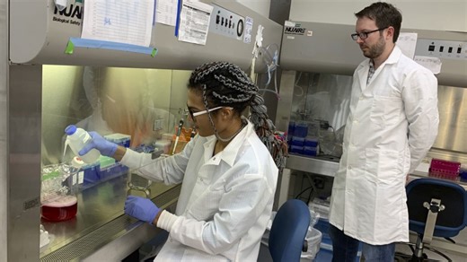 Cultivated meat company and Florida farmer debate lab grown meat across U.S.