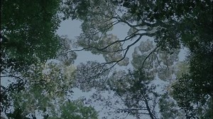 Gaia.2021.1080p.WEBRip
