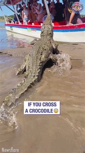 51K views · 159 reactions | What would you do in this situation? 樂 | 5-Minute Crafts USA | Facebook