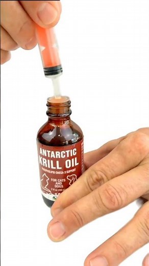 How to Use Antarctic Krill Oil for Cats & Dogs | Omega 3s for Pets