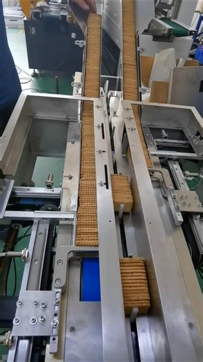 Biscuit Factory Mein Biscuits Kaise Bante Hain? 😍 | Full Process #factorytour #youtubeshorts