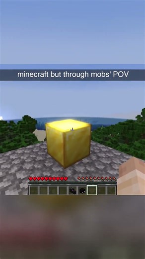 Minecraft through different mobs' POV #minecraft #supplementaries