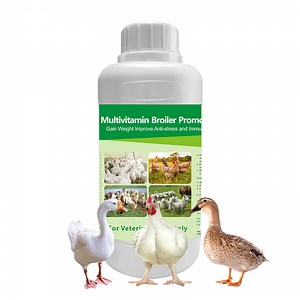 [Hot Item] Poultry Multivitamin Broiler Booster Oral Solution Gain Weight Fast Chicken Fattening Weight Gain Premix