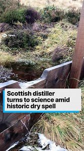 It’s known as the water of life for a reason – an essential part of making whisky is water. But with the recent dry spring, the driest the north east of Scotland has seen for 70 years, a project between the University of Aberdeen and the Glenlivet Distillery in Moray is hoping to help Scotland’s national drink by boosting local water supplies. #news #shorts #whisky #water #drought #climate | STV News