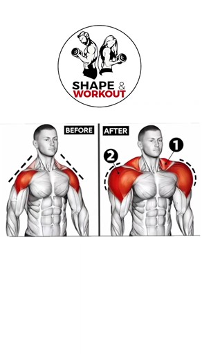 Transform Your Upper Body with Bodyweight Shoulder Routine