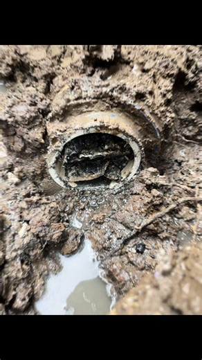 TEXAS Best Fence & Handyman on TikTok