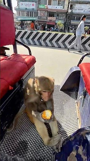 Google Adsense Code Aayo #crazyvlog #minivlog #supportme