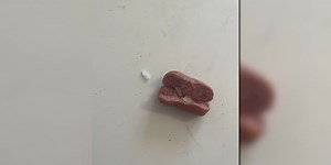 Dogs poisoned after eating meth-laced hot dogs