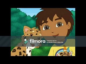 GO DIEGO GO MARATHON