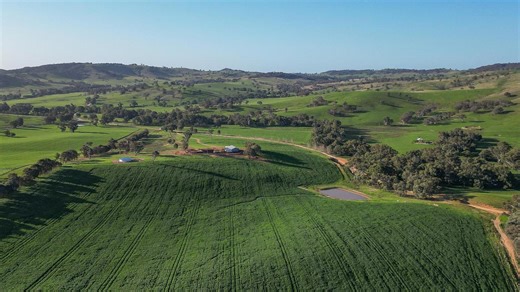NSW Riverina farms list for more than $35 million combined