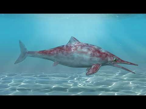 Ichthyosaurus Sound Effects