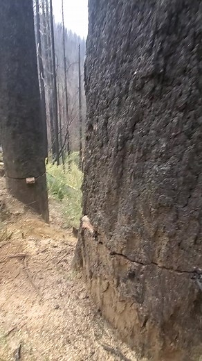 Nick Smith5150 on TikTok