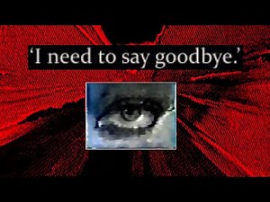 The Most Heartbreaking Analog Horror