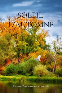 Soleil et paysages d'automne . Photos d’un automne coloré et ensoleillé.