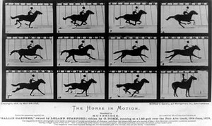 Zoopraxinoscope (Eadweard Muybridge)
