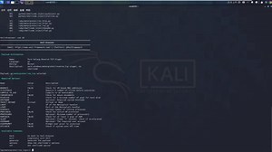 利用Veil制作免杀木马