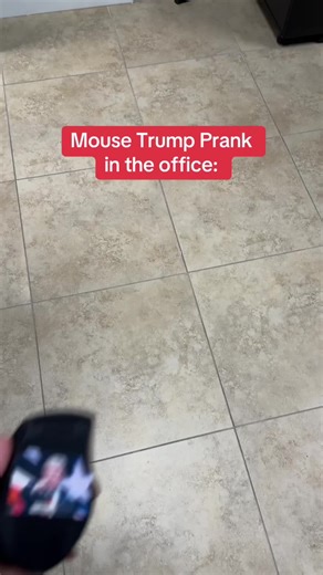 Pranking our IMMIGRATION LAWYERS and STAFF at work. Their case focus is no match for our fake mouse. 🐭⚖️ #fyp #officeprank #lawfirm #9to5 #corporatehumor #prank #immigration