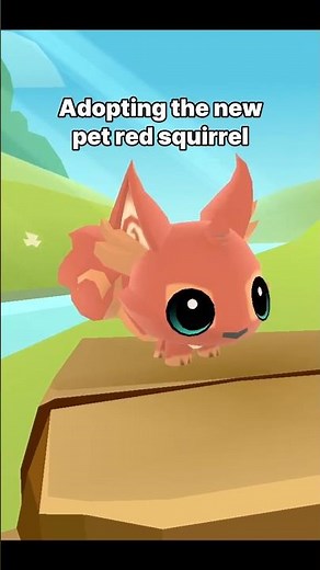 Adopting the new pet red squirrel in Animal Jam Play Wild 🐿️
