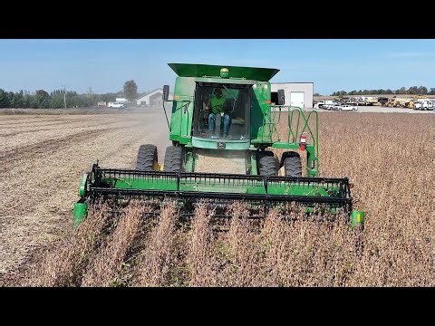 Dobis Farm, Combining Soybeans, Holdingford MN, October 3 2025.