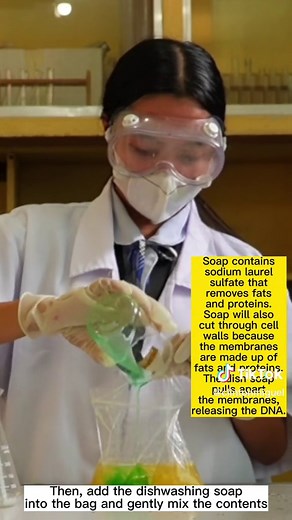 Banana DNA Extraction Experiment: A Step-by-Step Guide