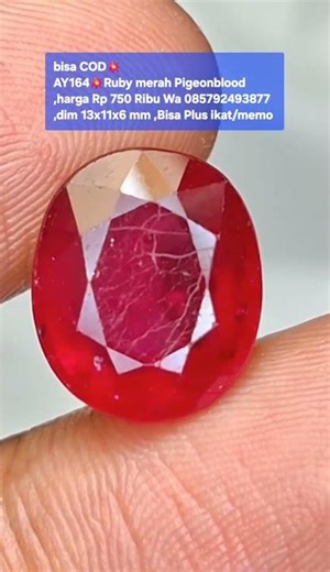 bisa COD💥AY164💥Ruby merah Pigeonblood,harga Rp 750 Ribu Wa 085792493877,dim 13x11x6 mm