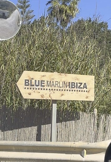 Blue Marlin Beach Club in Ibiza: A Premier Destination